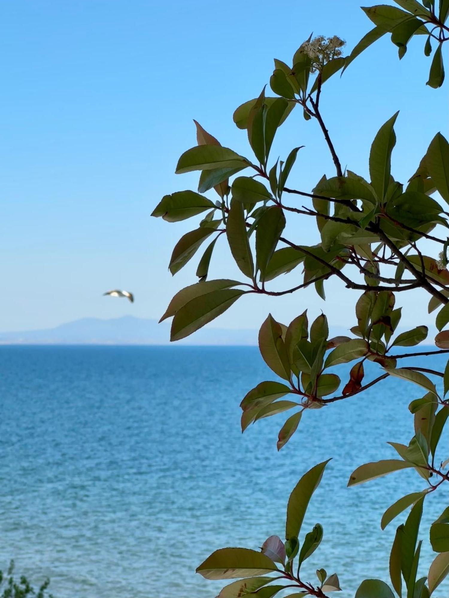 Filoxenia Paralia Buitenkant foto